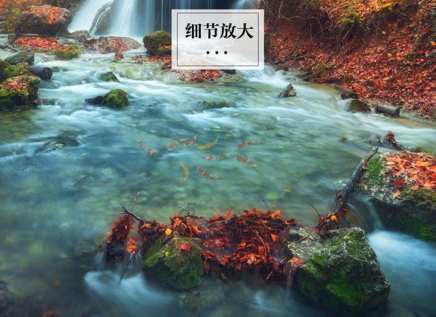 大S离婚协议曝光：汪小菲支付千万后再被告